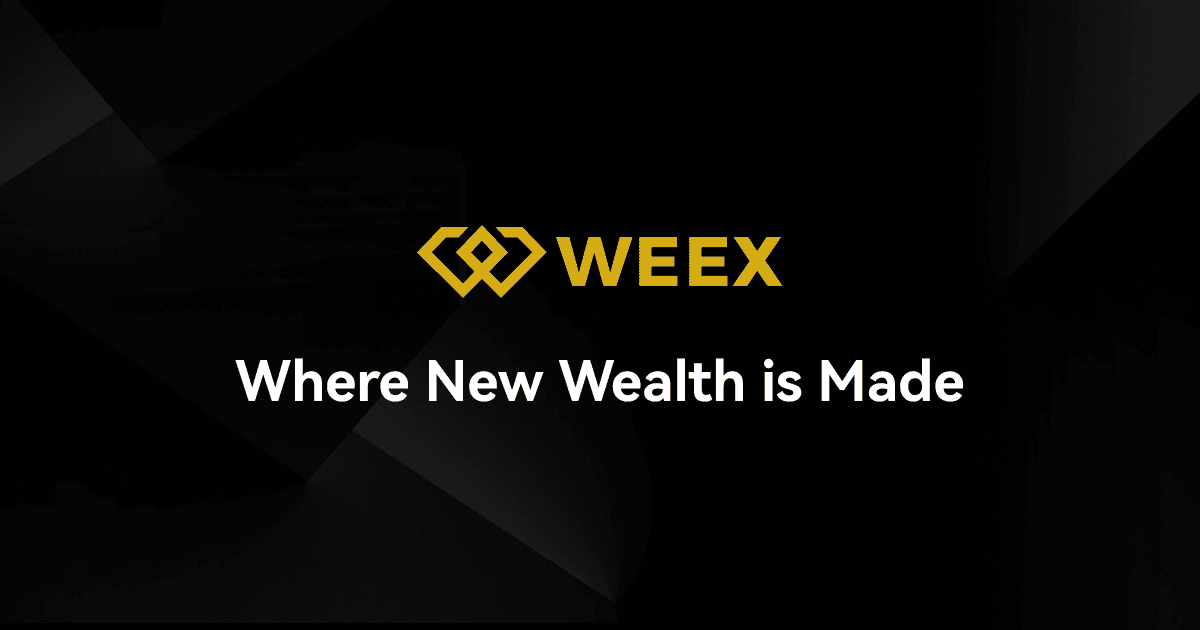 WEEX is considered one of the most high-performing crypto platforms for buying meme coins.