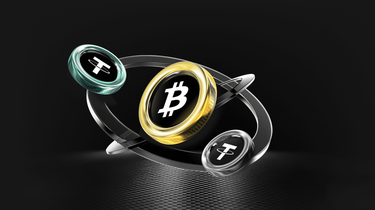Life and Death Struggle of the Primary Market: How Does Blockchain Venture Capital Navigate the Value Winter Cycle?