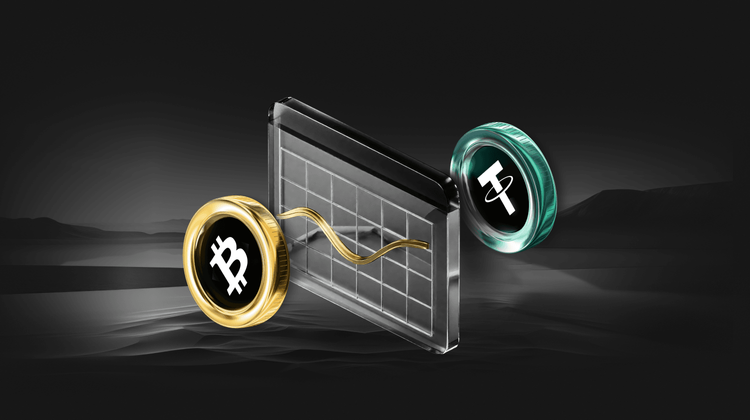 Zcash: From Shadowed Origins to November’s Crypto Highlight