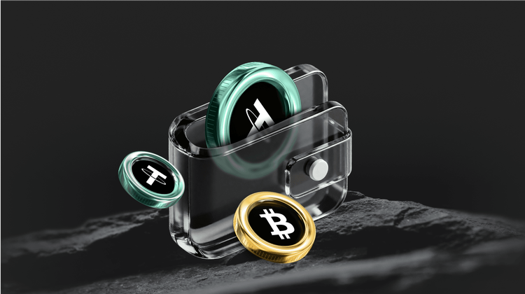 What is Zama (ZAMA) Coin