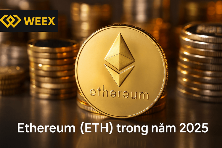 Ethereum (ETH) in 2025: Why Vietnamese WEEXers Should Not Miss Out